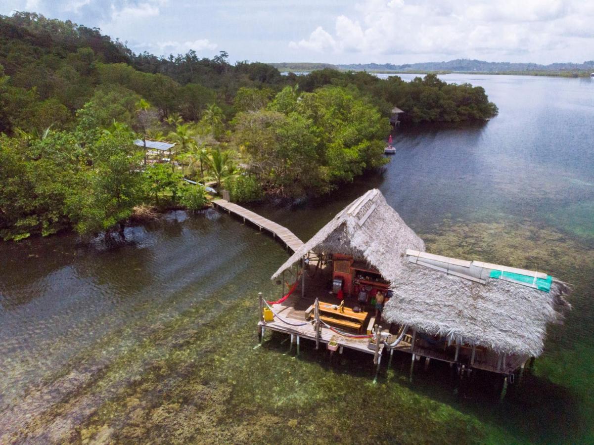 Cocovivo Hotel Bocas Town Exterior foto