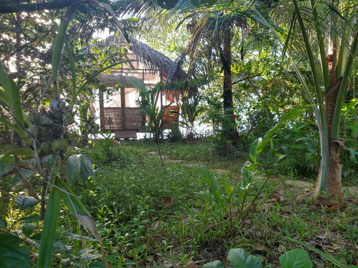 Cocovivo Hotel Bocas Town Exterior foto
